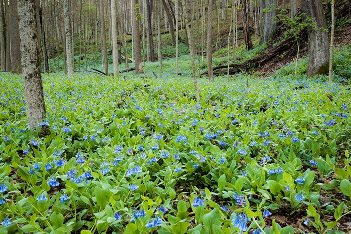 Stacked from 6 images. Method=A (R=8,S=4)