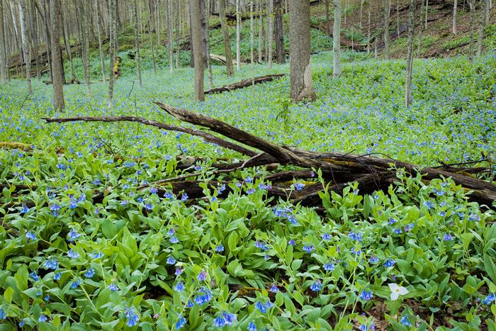 Stacked from 7 images. Method=A (R=8,S=4)