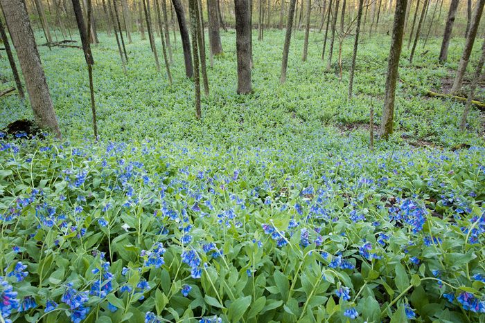 Stacked from 11 images. Method=A (R=8,S=4)