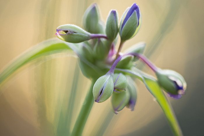 Stacked from 20 images. Method=B (R=8,S=4)