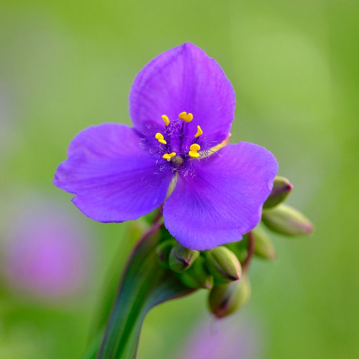 Cuyahoga Valley National Park, Ohio