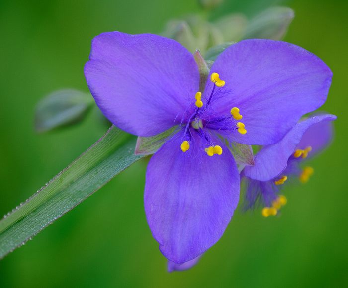 cuyahoga Valley National Park, Ohio
