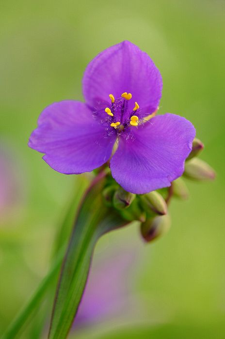 Cuyahoga Valley National Park, Ohio