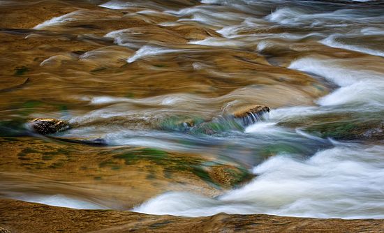 Waterfalls, Wildflowers, Trout Lilly,  Phlox\nTinker's Creek, Bedford Reservation\nHemlock Trail\nCuyahoga Valley National Park, OHIO\nApril, Spring