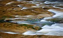 Waterfalls, Wildflowers, Trout Lilly,  Phlox\nTinker's Creek, Bedford Reservation\nHemlock Trail\nCuyahoga Valley National Park, OHIO\nApril, Spring