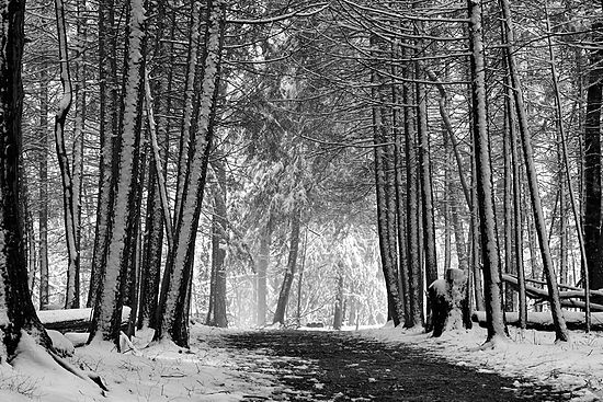 April Snow at Virginia Kendall\n\nBlack & White