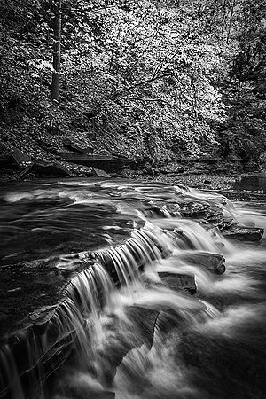 Brandywine Creek\n\nBlack & White