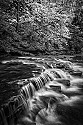Brandywine Creek\n\nBlack & White