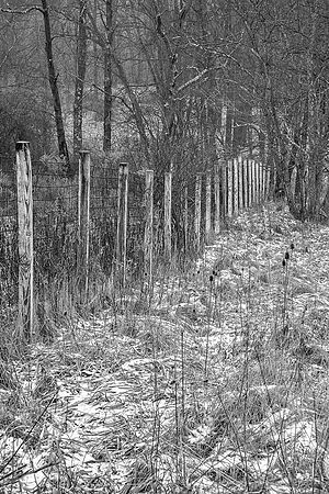 Fence\n\nBlack & White