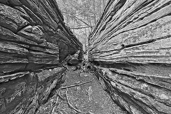 In Between\n\nBlack & White