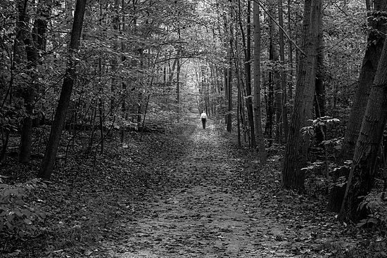 Kendall Lake Trail\n\nBlack & White