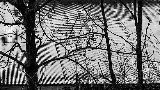 Snowy Roof\n\nBlack & White