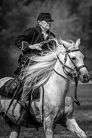 Union Calvary Reinactor\n\nBlack & White