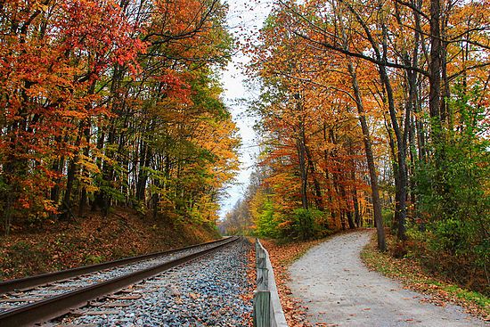 Diverging Paths\n\nLandscape