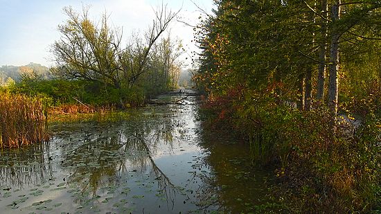 Reflections of Fall\n\nLandscape