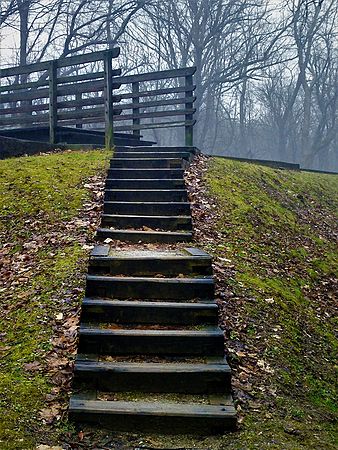 Steps in Time\n\nNovice