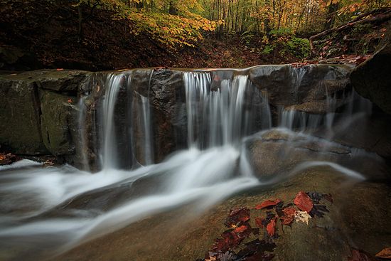 Autumn Falls\n\nNovice