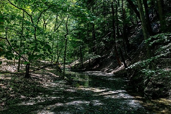 Green Light\n\nNovice