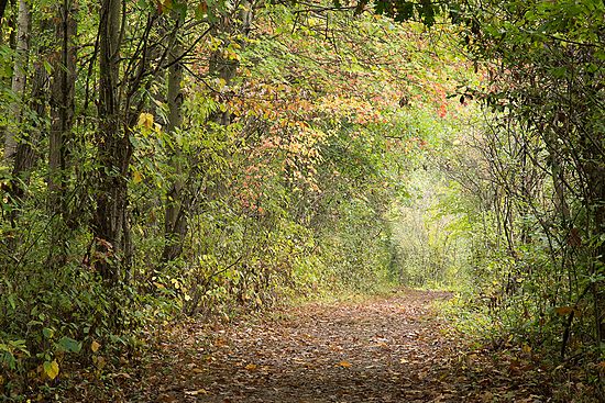 Trail's End\n\nNovice