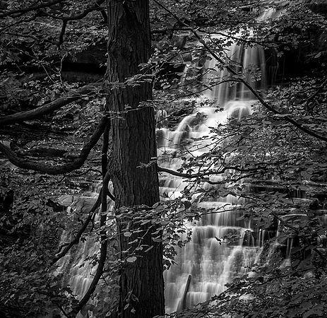 Smooth as Silk\n\nBlack and White or Monochrome\n\nThird Place