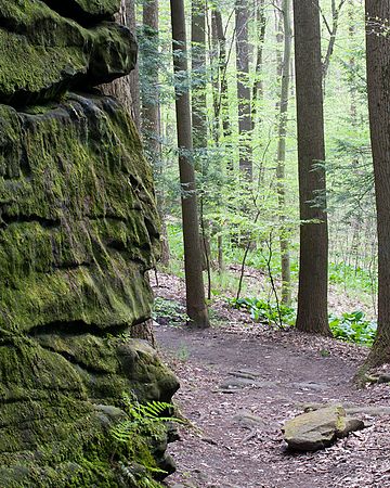 &copy; Jeffrey D Smith 2009