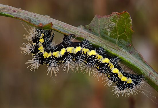 &copy;2010 BAMettle  (330)6070200