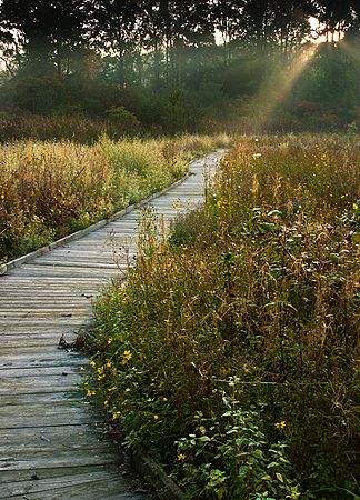 &copy;2010 BAMettle  (330)6070200