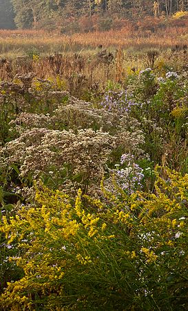 &copy;2010 BAMettle  (330)6070200