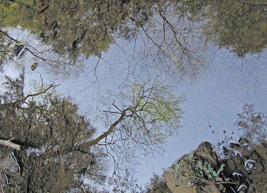 Conkle's Hollow valley floor