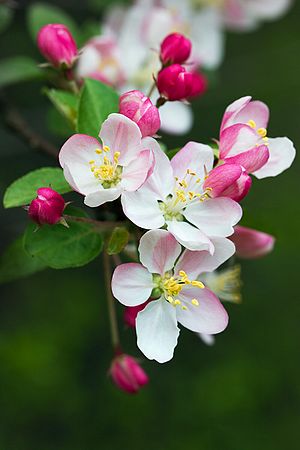 Cuy Valley National Park \nWinter 2010