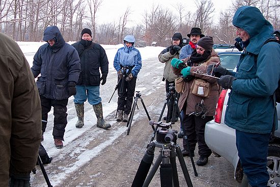 Photo Walk January 31, 2009 - Ritchie Ledges