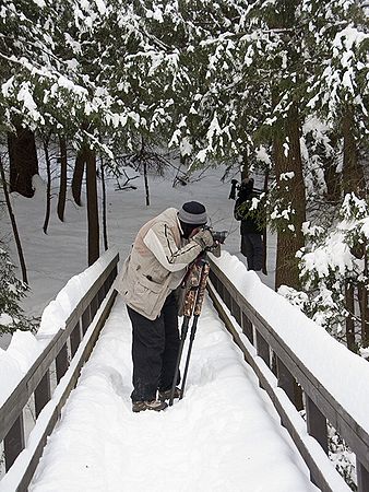 Photo Walk January 31, 2009 - Ritchie Ledges
