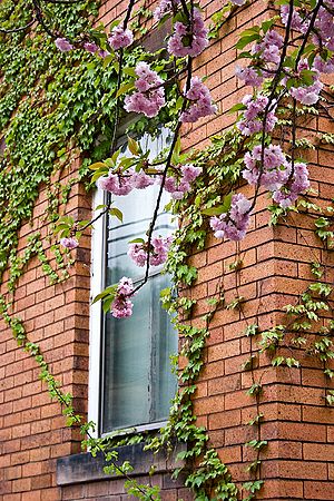 ohio; spring; street sceen