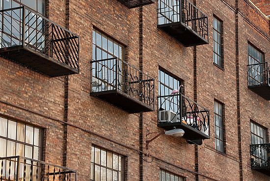 &copy;Martin Trimmer