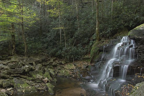 Elakala Falls WV