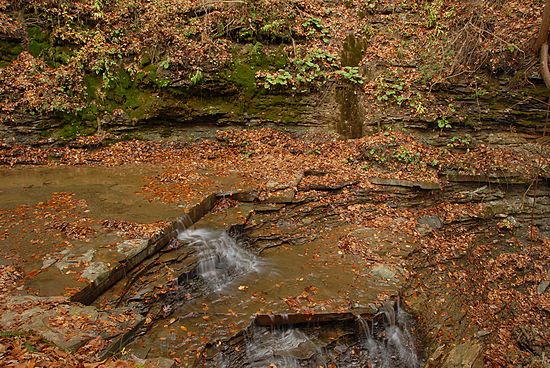 &copy;Martin Trimmer