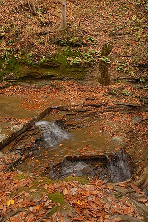 &copy;Martin Trimmer