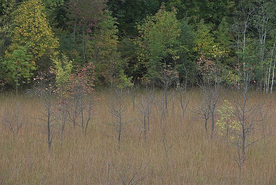 Borrow Pit CVPS Photo Walk