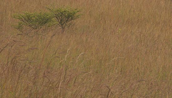 Borrow Pit CVPS Photo Walk