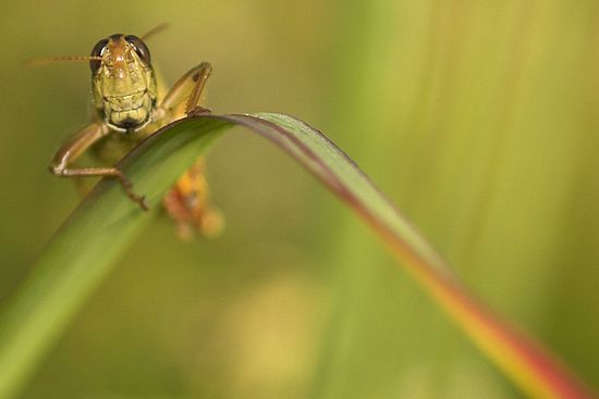 Brecksville Reservation Photo Shoot - Harriet Keeler Park