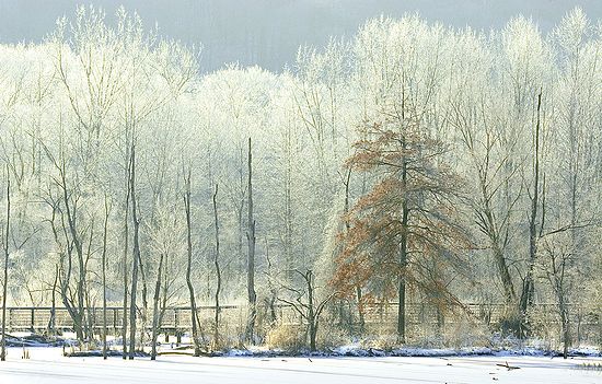 Scenics & Landscapes