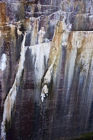 Scenics & Landscapes