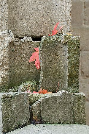 Scenics & Landscapes