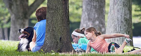 People & Activities in the park