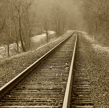 Scenics & Landscapes