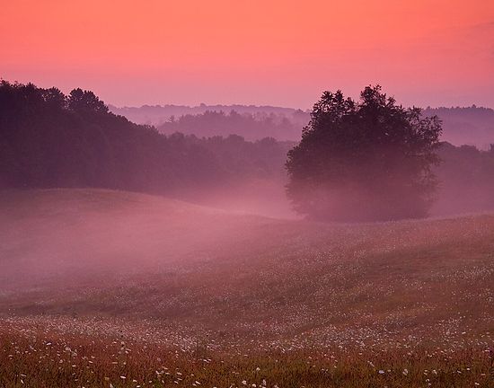 Scenics & Landscapes