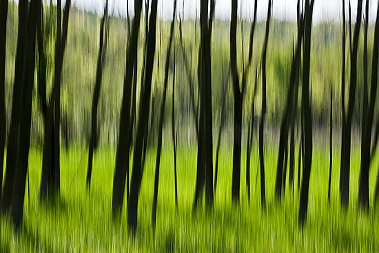 Scenics & Landscapes