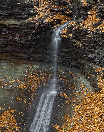 Scenics & Landscapes