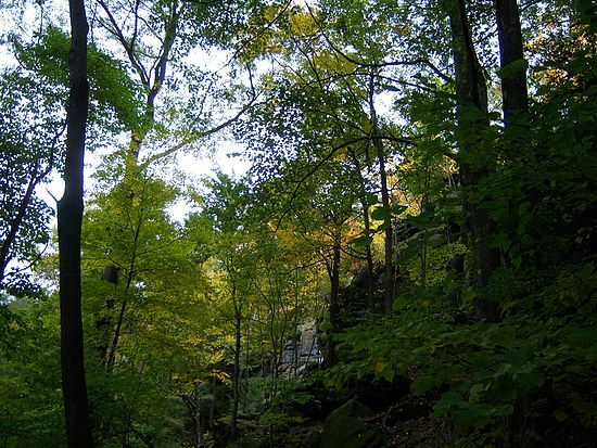 Scenics & Landscapes