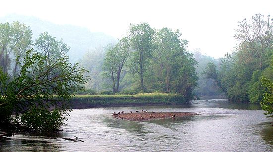 Scenics & Landscapes